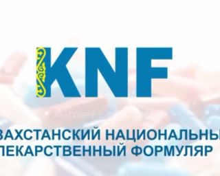 knf 2017 1